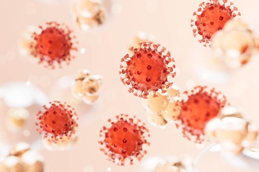 Model wirusa grypy typu B.