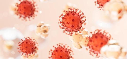 Model wirusa grypy typu B.