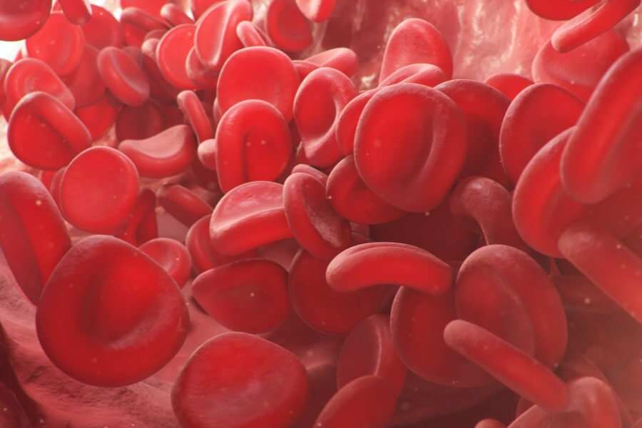 Czerwone krwinki w naczyniu krwionośnym.