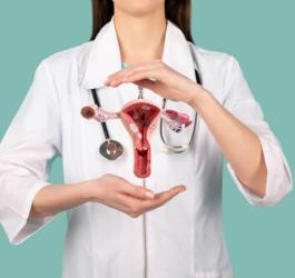 Lekarka prezentuje model macicy.