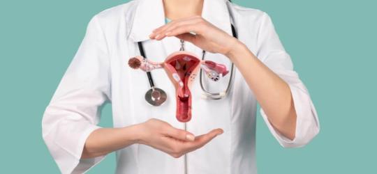 Lekarka prezentuje model macicy.