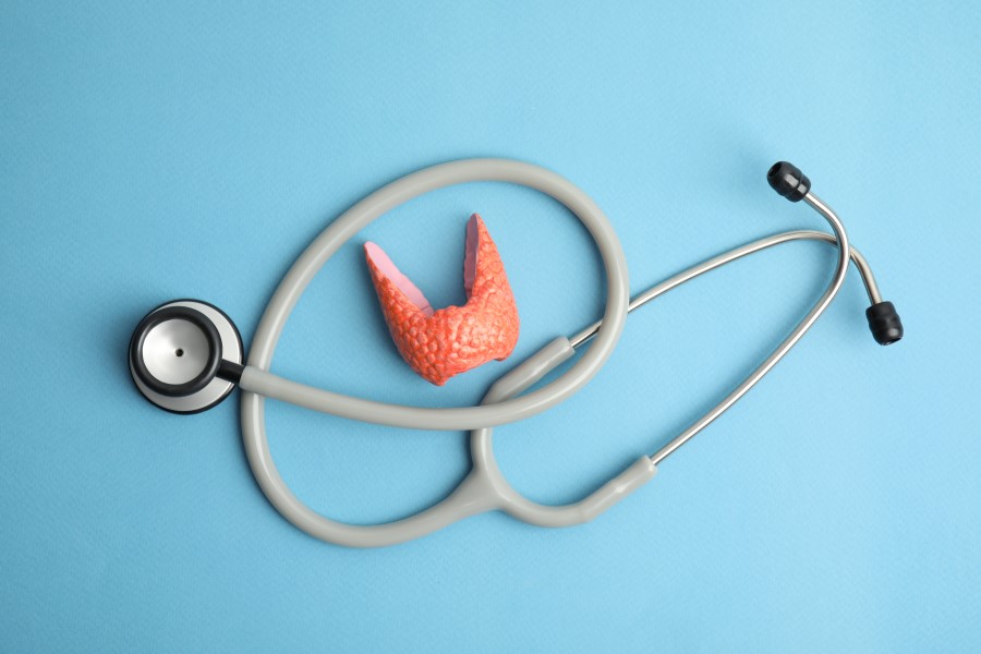 Model tarczycy i stetoskop leżące na błękitnym tle.