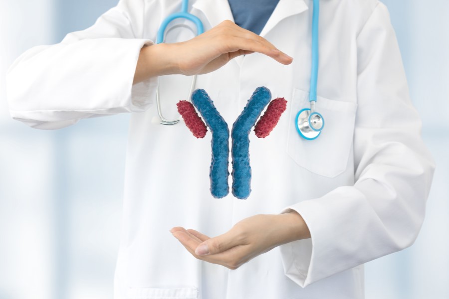 Lekarz ma między rękami model immunoglobuliny (przeciwciała).