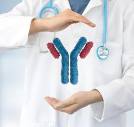 Lekarz ma między rękami model immunoglobuliny (przeciwciała).