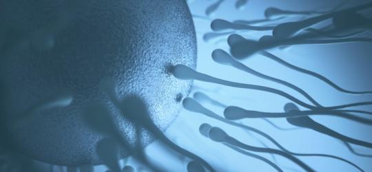 Jak przeprowadza się inseminację?