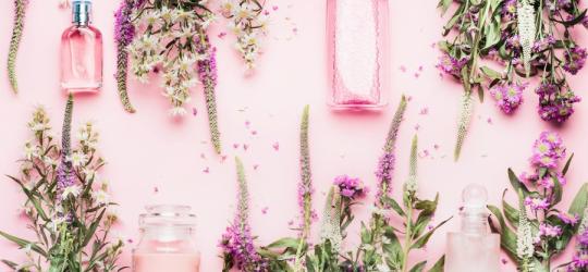 Jakie zioła na cerę?