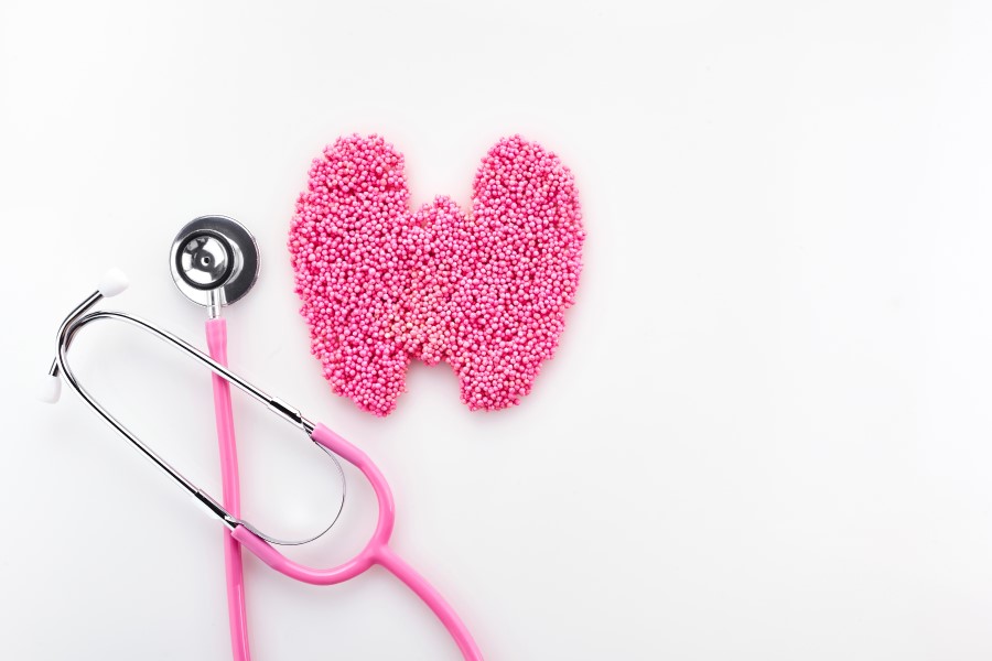 Różowy stetoskop i model tarczycy - gruczołu, który wydziela hormony m.in. kalcytoninę.