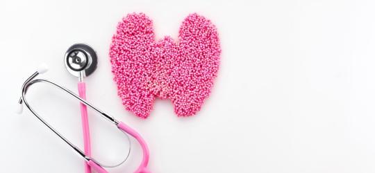 Różowy stetoskop i model tarczycy - gruczołu, który wydziela hormony m.in. kalcytoninę.