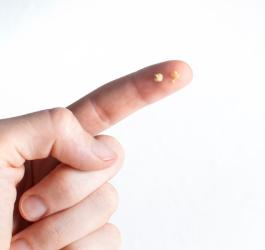 Osoba trzyma na palcu niewielkie kamienie migdałkowe.