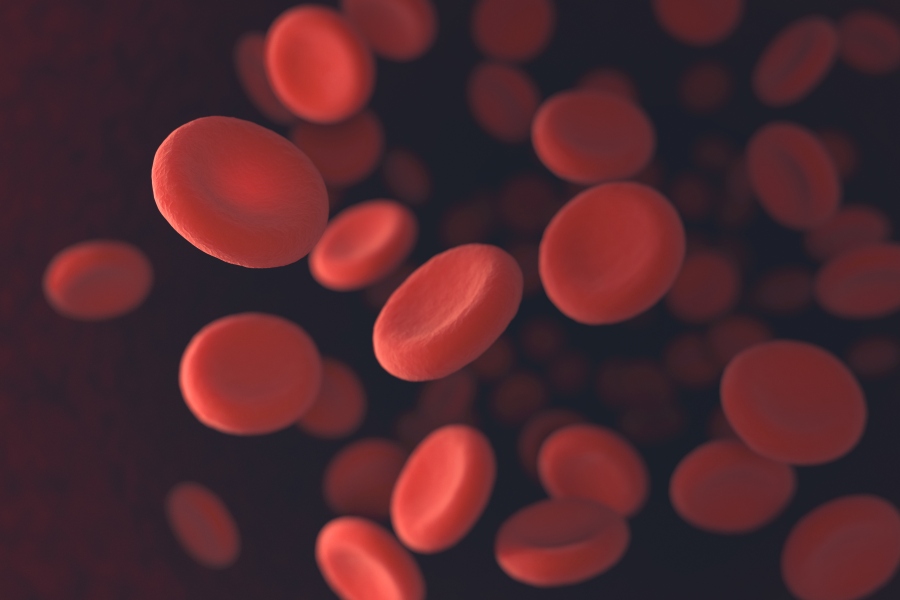Kiedy warto sprawdzić poziom hemoglobiny? LekarzeBezKolejki.pl