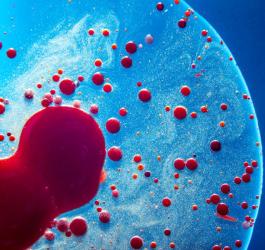 Konflikt serologiczny - o czym warto wiedzieć, planując ciążę?