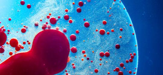 Konflikt serologiczny - o czym warto wiedzieć, planując ciążę?