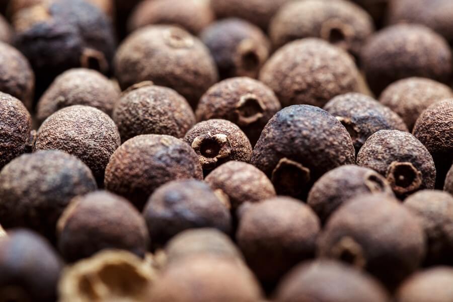 Owoce korzennika lekarskiego.