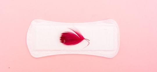 Czysta podpaska na różowym tle. Na podpasce leży czerwione piórko, symbolizujące krwawienie.