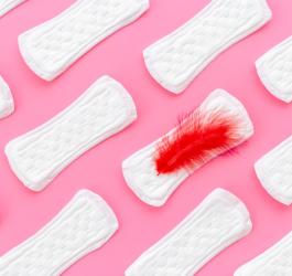 Wkładki higieniczne ułożone w rzędach. Na jednej leży czerwone piórko symbolizujące krwawienie.