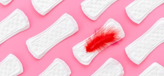 Wkładki higieniczne ułożone w rzędach. Na jednej leży czerwone piórko symbolizujące krwawienie.