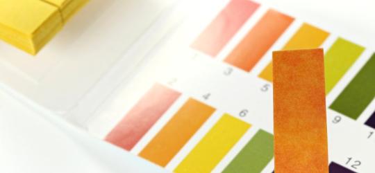 Kwasica: rodzaje, objawy, leczenie