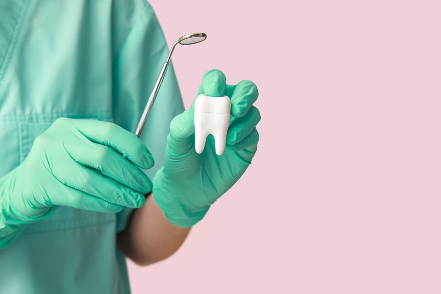 Stomatolog trzyma w ręce model zęba i lusterko dentystyczne.