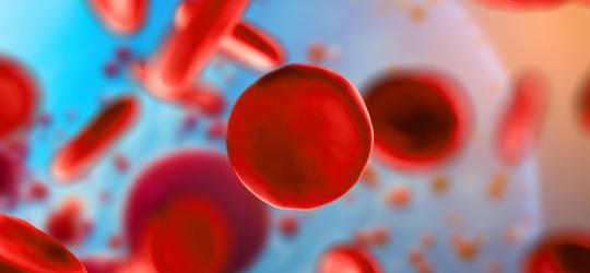 MCV - normy, wysoki i niski poziom