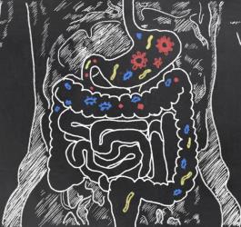 Mikrobiom – czym jest i jakie pełni funkcje?