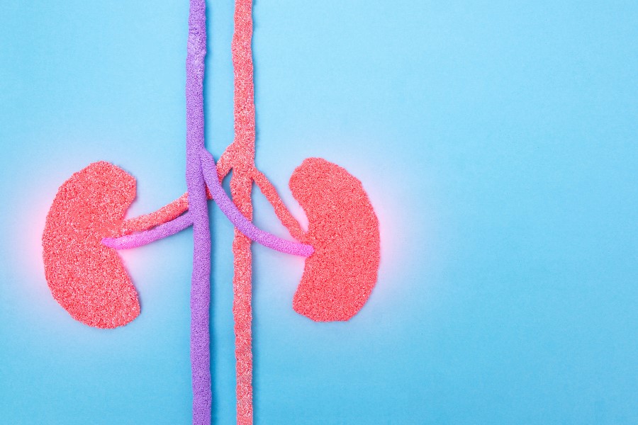 Grafika przedstawiająca dwie ludzkie nerki, dotknięte chorobą.