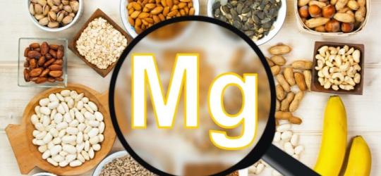 Źródła magnezu (nasiona, orzechy, kasze, strączki i owoce) ułożone z miseczkach.