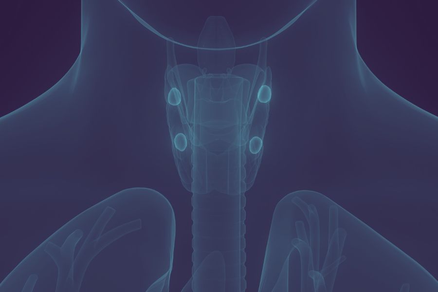 Model 3D przytarczyc.