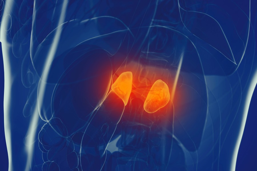 Nadnercza - funkcje, objawy choroby