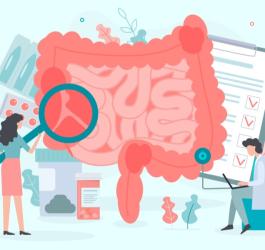 Rysunkowi lekarze szukają przyczyny niedrożności jelit na rysunkowym modelu tych narządów.