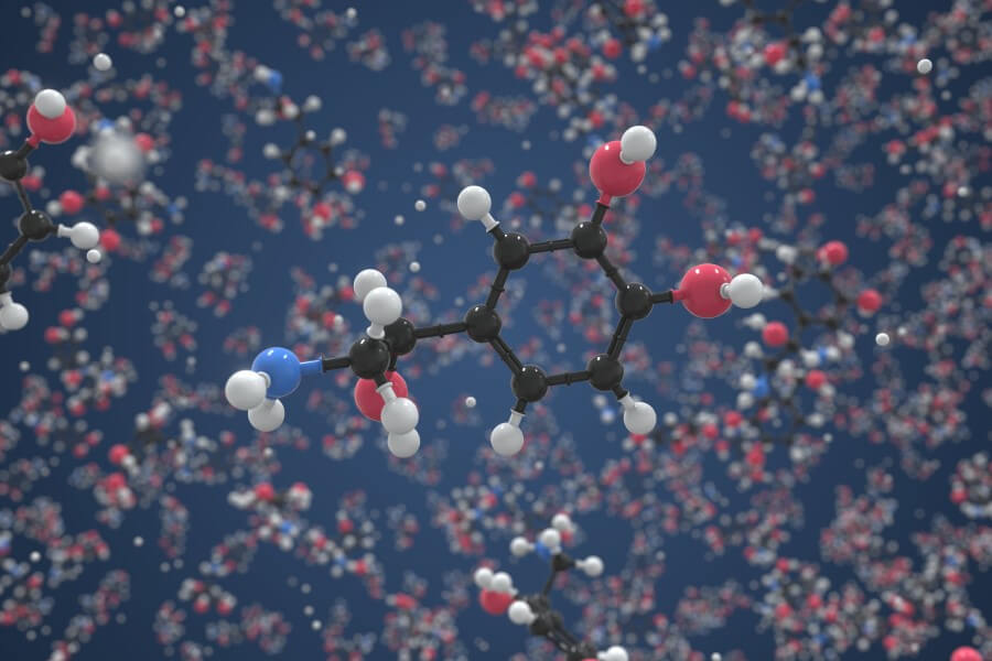 Model cząsteczki noradrenaliny.