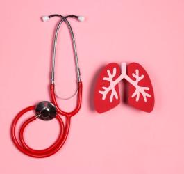Model płuc i stetoskop lekarski.