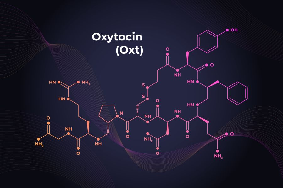 Oksytocyna − czym jest i za co odpowiada?