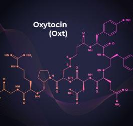 Oksytocyna − czym jest i za co odpowiada?