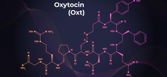 Oksytocyna − czym jest i za co odpowiada?