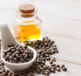 Nasiona rącznika pospolitego i wytłoczony z nich olejek rycynowy w szklanej, zakorkowanej buteleczce