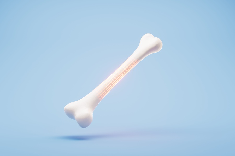Model kości 3D.