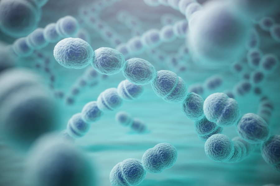 Paciorkowiec - czym jest i jakie choroby wywołuje?