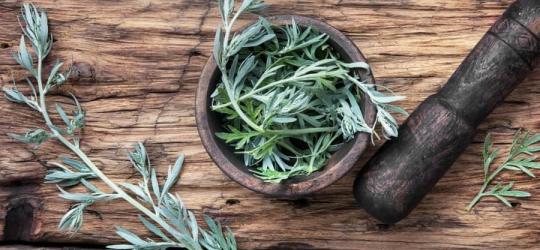 Ziele piołunu w drewnianym moździerzu i na tle drewnianego blatu.