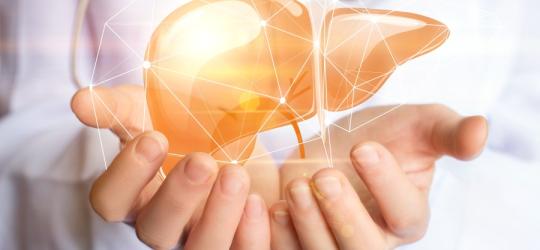 Próby wątrobowe - kiedy trzeba je wykonać? Jak interpretować wyniki?