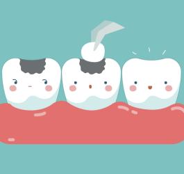 Próchnica – skąd się bierze?