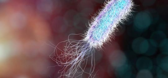 Model 3D pałeczki ropy błękitnej.