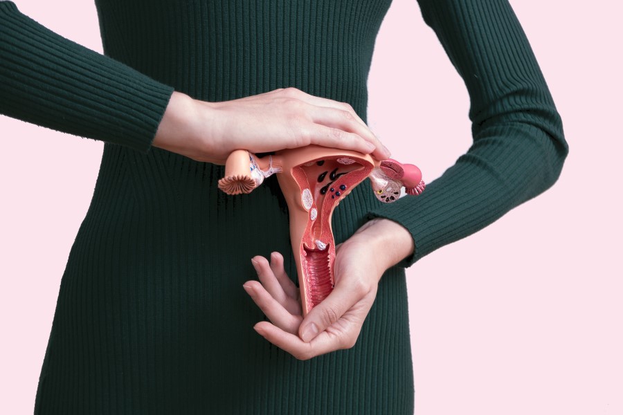 Kobieta trzyma w dłoniach model macicy.