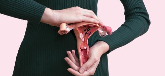 Kobieta trzyma w dłoniach model macicy.