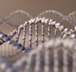 Graficzne przedstawienie kwasu deoksyrybonukleinowego (DNA).