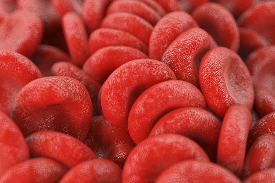 Grafika 3D młodych form erytrocytów, czyli retikulocytów.