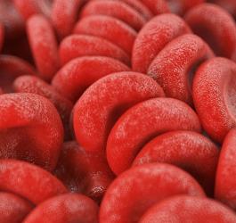 Grafika 3D młodych form erytrocytów, czyli retikulocytów.