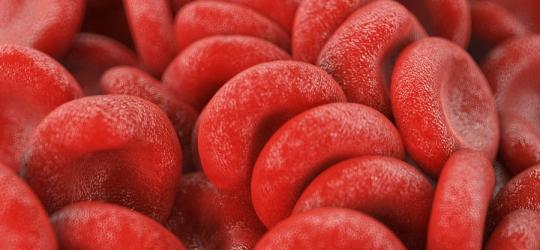 Grafika 3D młodych form erytrocytów, czyli retikulocytów.