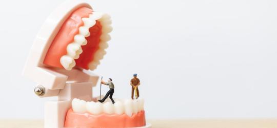 Miniaturowi robotnicy leczą w modelu szczęki ropień zęba.