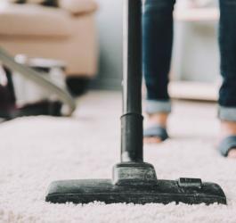 Roztocza kurzu domowego - powszechna przyczyna alergii