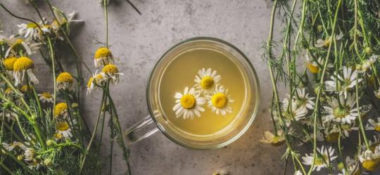 Napar z rumianku pospolitego.